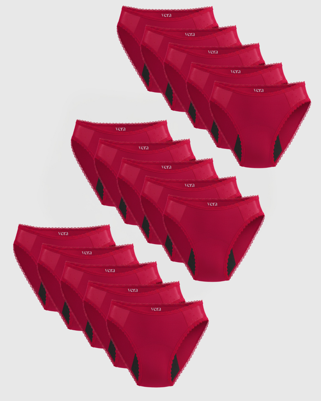 Vera's Elegant Leakproof Briefs (15-Pack)